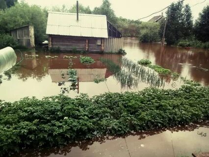 Затопило огород