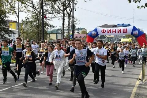 Кросс нации 2024 вологда