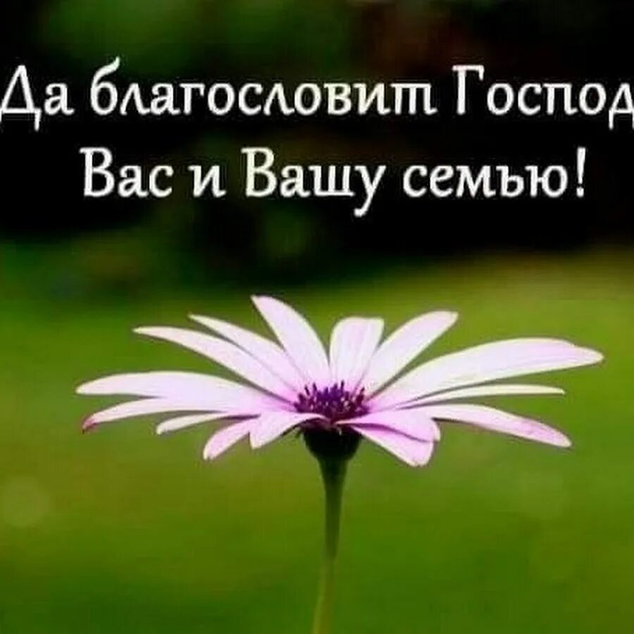 Благословите перевод. Да благословит вас Господь. Благослови вас Бог. Божьих благословений вашей семье. Бог благословит вас и Вашу семью.