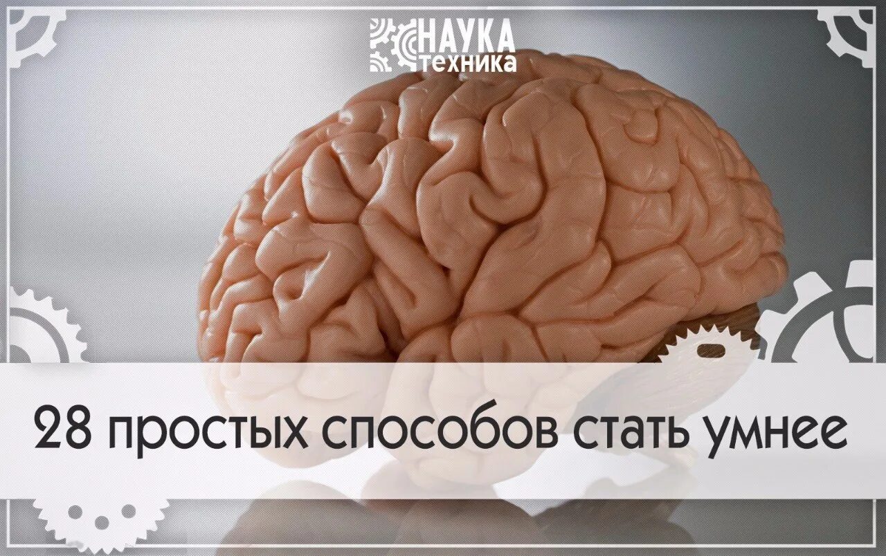 Как стать умнее ответы. Как стать умным. как стать умнее. простые способы стать умнее. мозг умнеет.