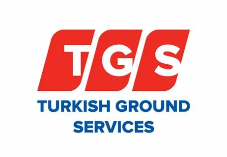 Tgs файл