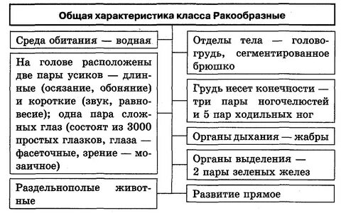 Сравнительная характеристика классов ракообразные и паукообразные