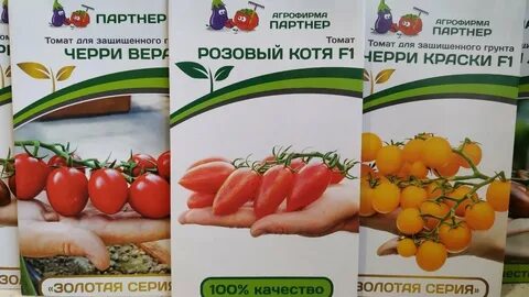 Черри фирмы партнер
