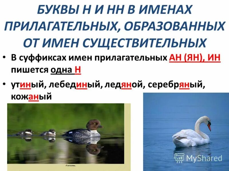 Смысл пословицы наряд соколий а походка воронья. Лебединый какое прилагательное. Разряд имени прилагательного таблица. Найди ошибку в морфологическом разборе прилагательного. Лебединый какое прилагательное.