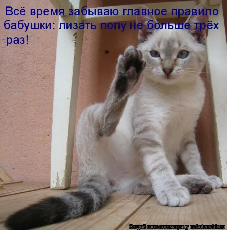 3 раз сделай. 3 раз сделай