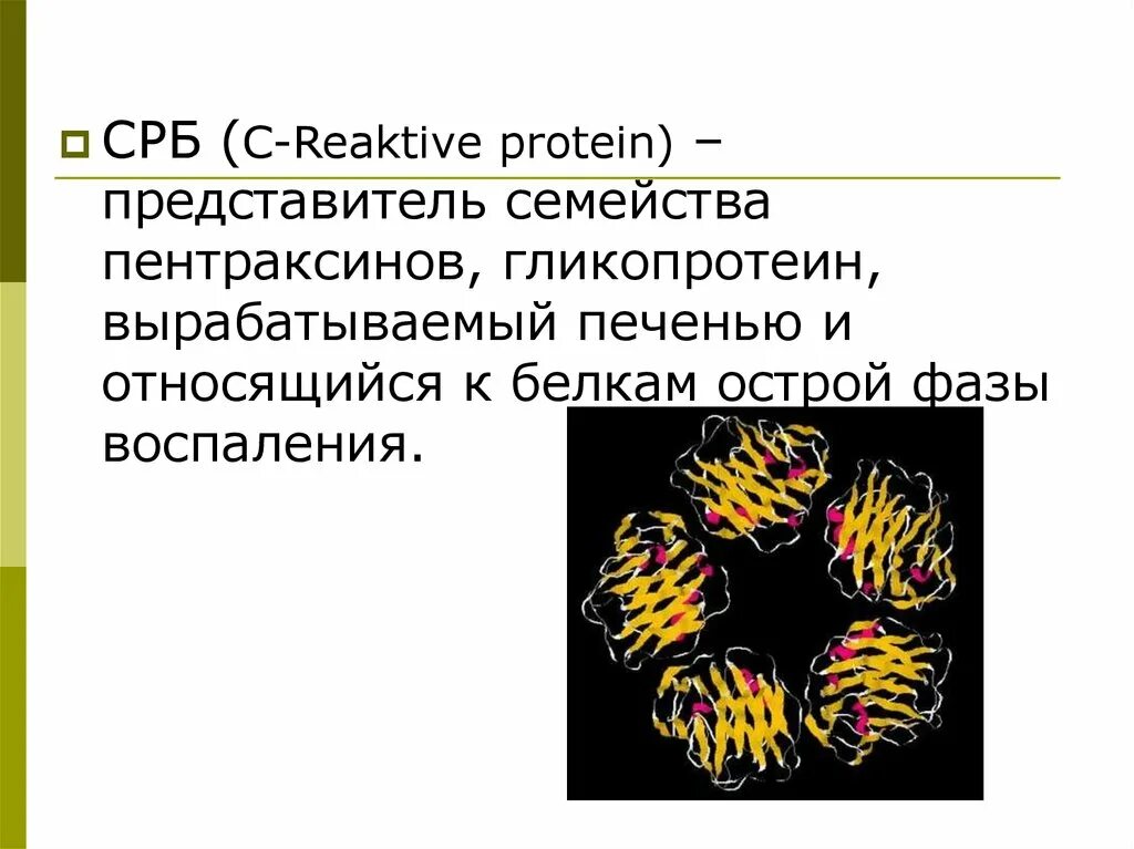 C-реактивный белок. С-реактивный белок (CRP FS). Ц-реактивный белок виды. Ц реактивный белок функция.