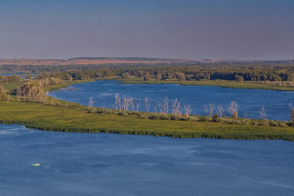 Село Кошели Саратовская область. Село Кошели Воскресенского района Саратовской области. Деревня Кошели Саратов. Кошели Волга. Кошели саратовская область