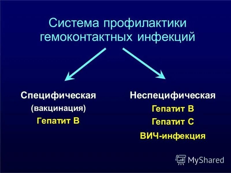 Тест гемоконтактные инфекции