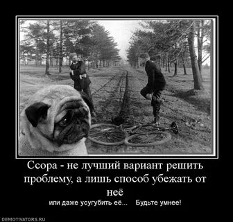Вся правда про нашу ссору глебас