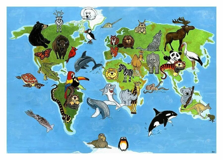 Животные разных континентов. Места обитания животных. Животные по континентам для детей. Животные на материках.