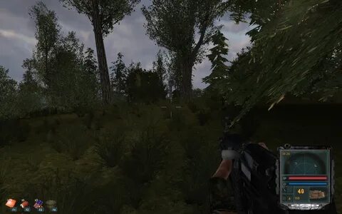Stalker city