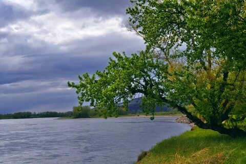 Фото берегу реки