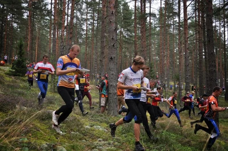 точное ориентирование. спортивное ориентирование. ориентирование по тропам. ориентирование по тропам. ориентирование для инвалидов.