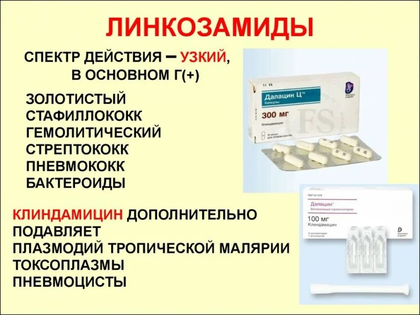 Тест на стрептококки в аптеке. Антибиотики группы линкозамидов. Линкозамиды антибиотики спектр действия. Линкозамиды спектр Клиндамицин. Линкозамиды препараты фармакология.