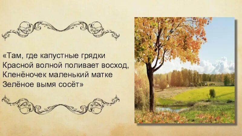 Где капустные грядки стихотворение