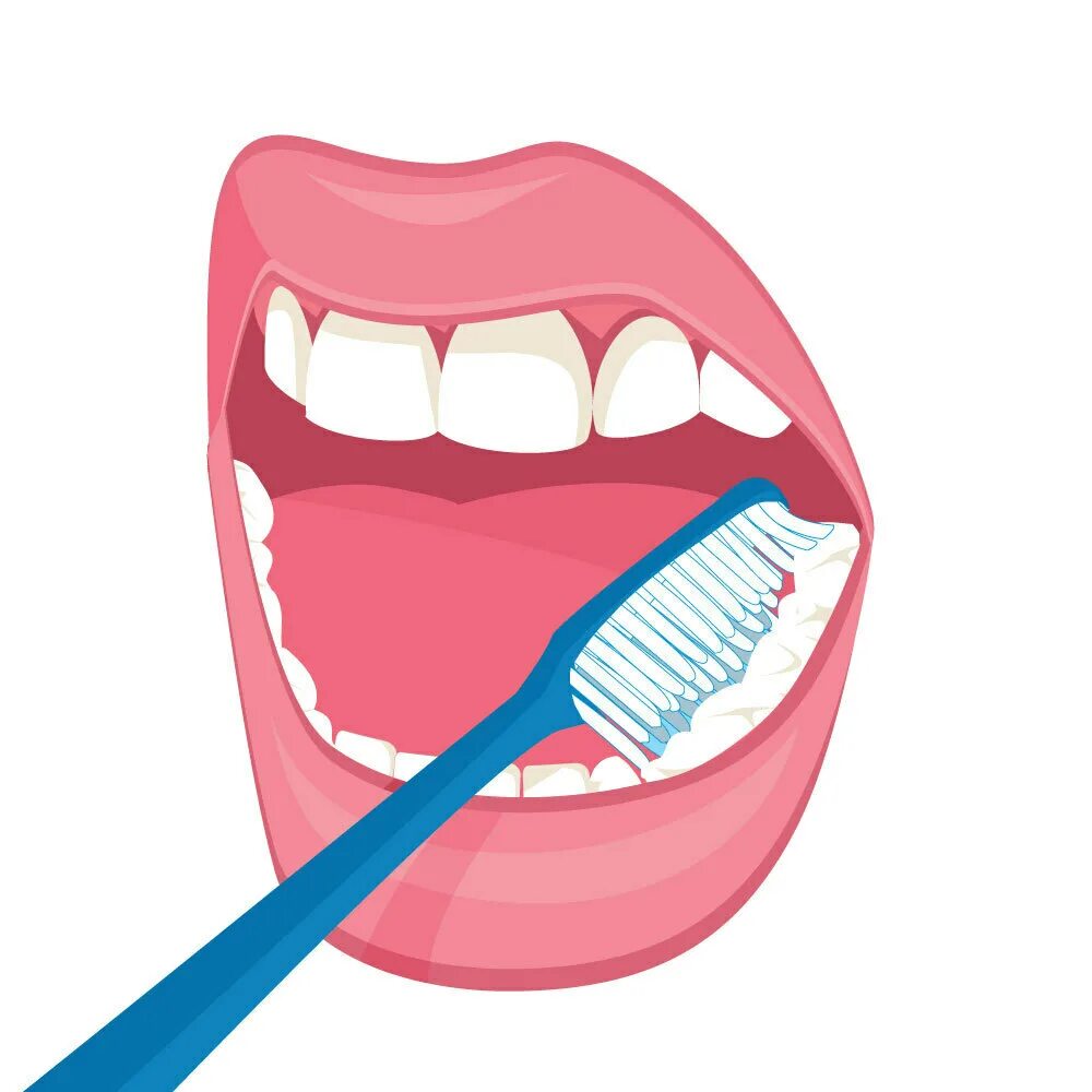 Правильная техника чистки зубов. Чищу зубы но все равно. Зубная гигиена полости рта. Зубная щетка вектор. Гигиена зубов.