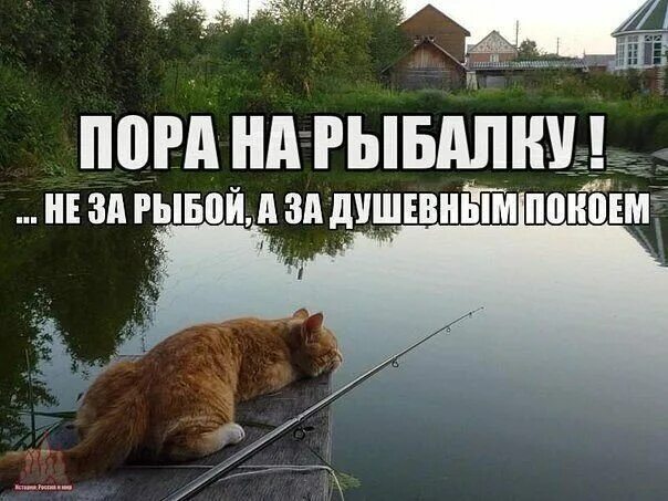 пора ловить. пора ловить. приколы на рыбалке. пора ловить. приколы на рыбалке.