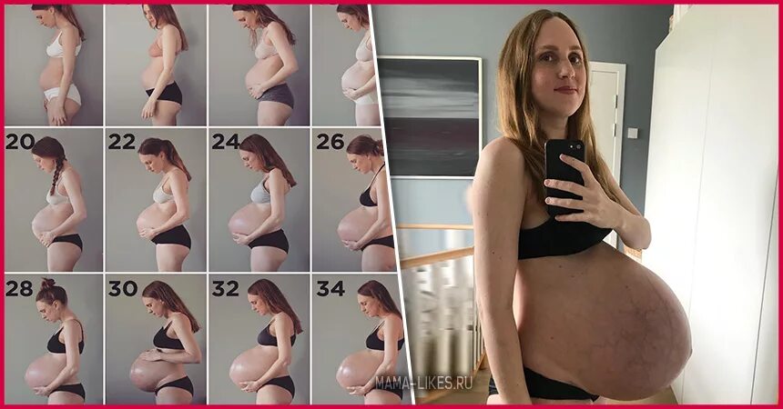 На какой неделе беременности растет живот. Живот по месяцам беременности. Живот беременной двойней по неделям. Живот беременной двойней по месяцам. Живот с двойней по неделям.