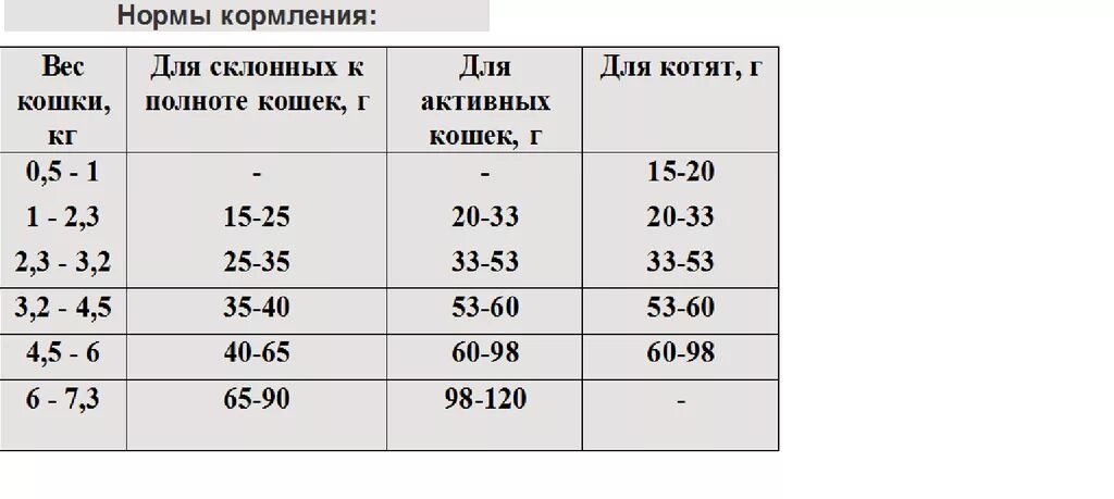 Сколько нужно кормить кошку раз в день