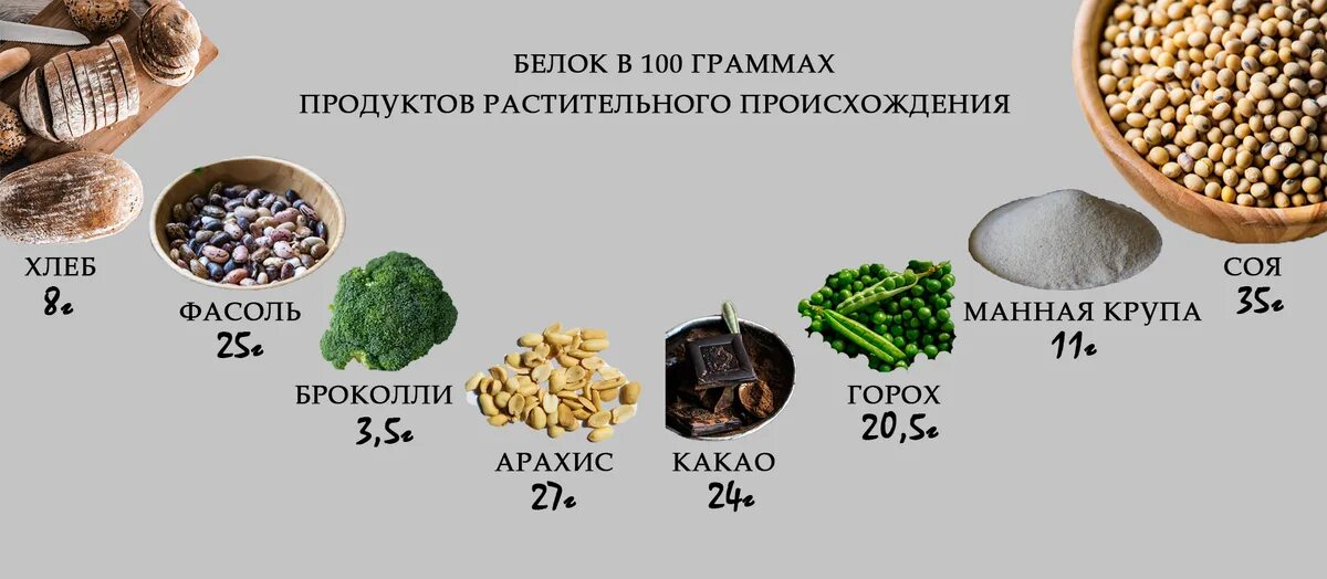 Продукты растительного происхождения богатые белком. Продукты содержащие белки растительного происхождения. Источник растительного белка таблица. Таблица растительных продуктов с высоким содержанием белка. Количество белка в растительных продуктах