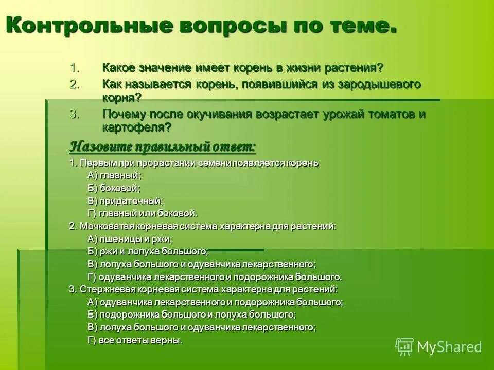 Какое значения корня. Значение корня в жизни растения. Какое значение имеет корень. Значение корня биология.