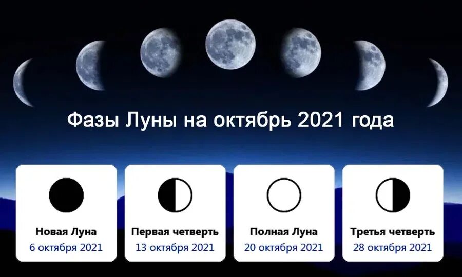 Прибывающая луна в марте 2024. Фаза Луны на ноябрь 2021 года новолуние и полнолуние. Фазы Луны новолуние растущая Луна полнолуние убывающая Луна. Лунный календарь на декабрь 2021. Лунный календарь на ноябрь 2021.