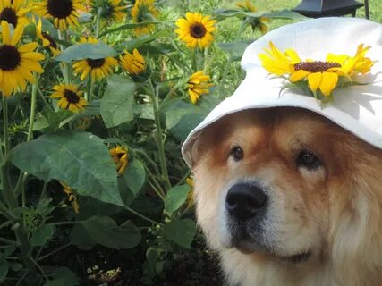 Приятная когда вышла