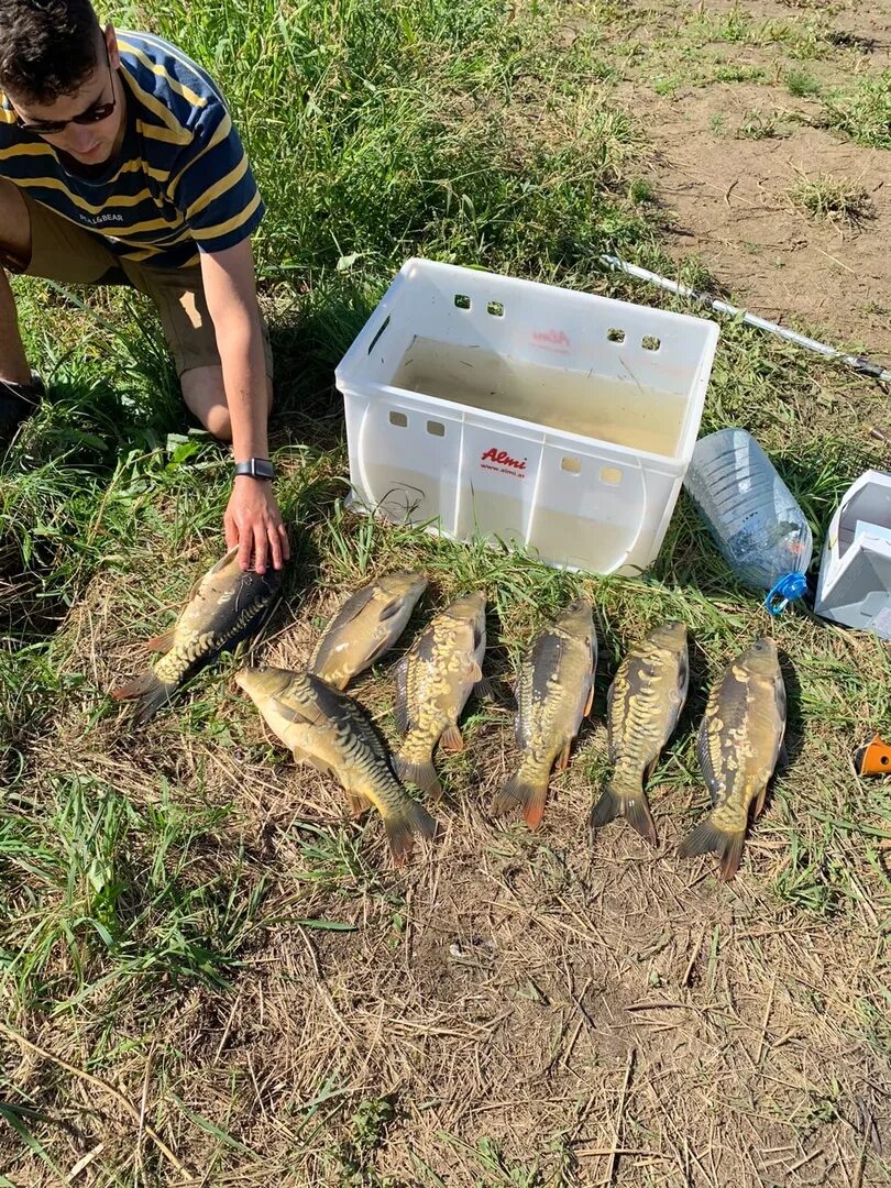 мешковский пруд. пруды в новинках. рву 144 пруд. новогурово пруд. фермерское озеро парголово.