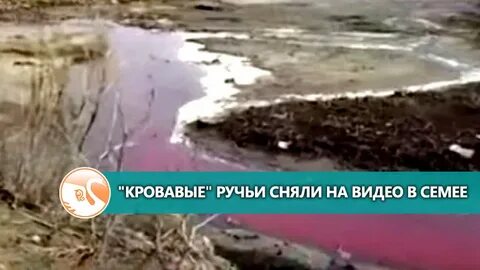 Снять ручей