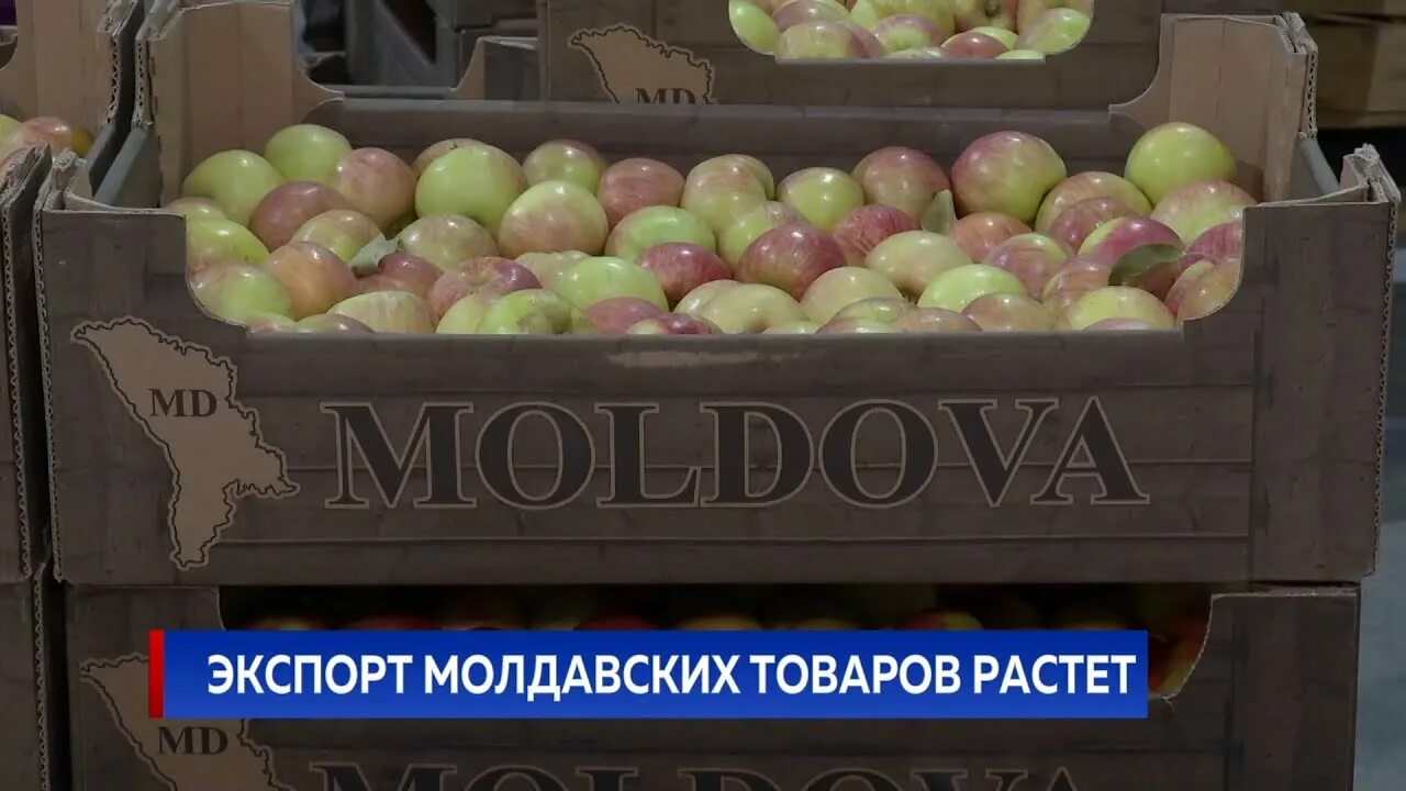 Товар молдова. Товары Молдовы. Экспорт Молдавской продукции. Экспорт из Молдовы. 'Rcgjhn BP vjkljds.