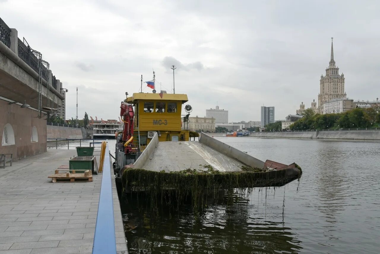 В москве реке найдены. Рыбоохрана. Фотографии со дна москвы реки. В москве реке найдены. Москва река без воды.