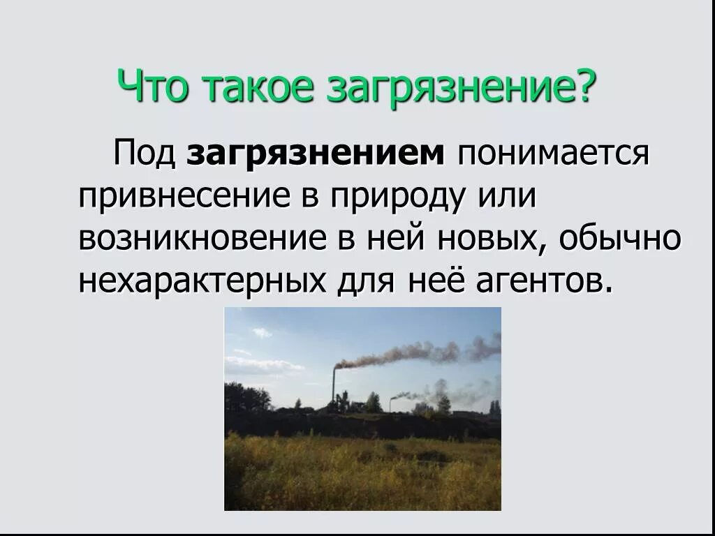 Влияние деятельности человека на природу северной америки. Влияние деятельности человека на природу. Влияние деятельности человека на природу родного края. Влияние деятельности человека на природу презентация. Мониторинг воздействия на окружающую среду.