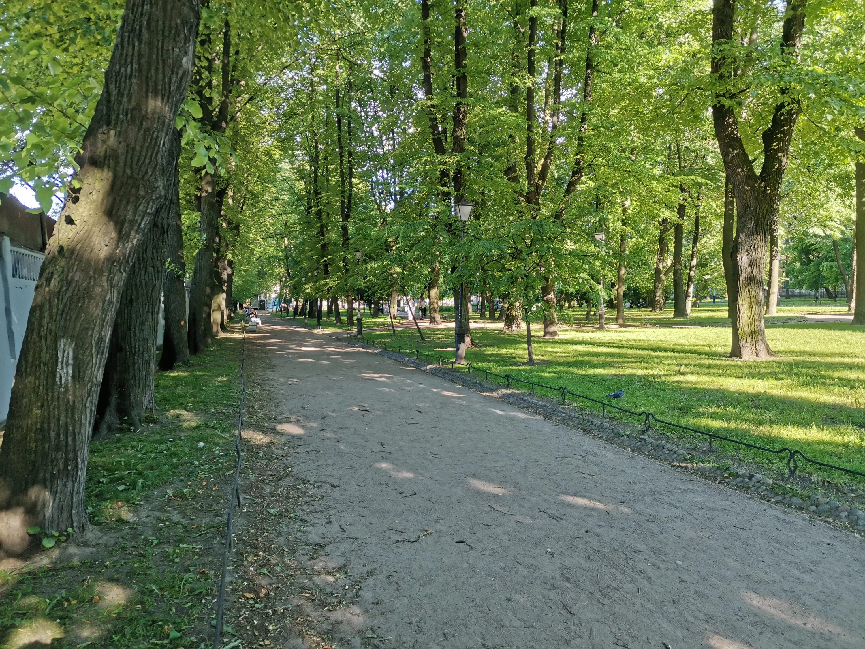 Сад сан. Сангальский сад Санкт-Петербург. Сен Галли сквер. Сад Сан Галли СПБ. Сад Сан Галли на карте СПБ.