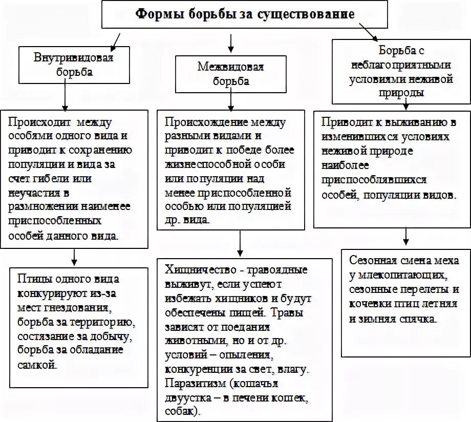 Борьба за существование биология 11 класс таблица. Таблица внутривидовая борьба межвидовая. Причины межвидовой формы борьбы за существование. Таблица формы борьбы за существование 9 класс биология. Выбери три верных характеристики борьбы за существование