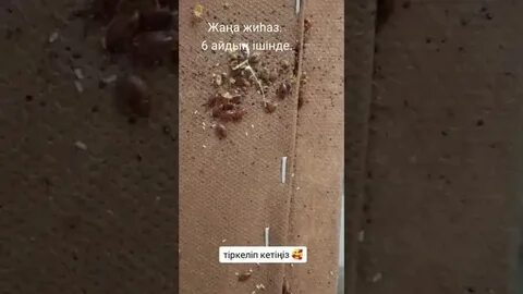 Наруто секс эротикалық видео Сакура цунадемен