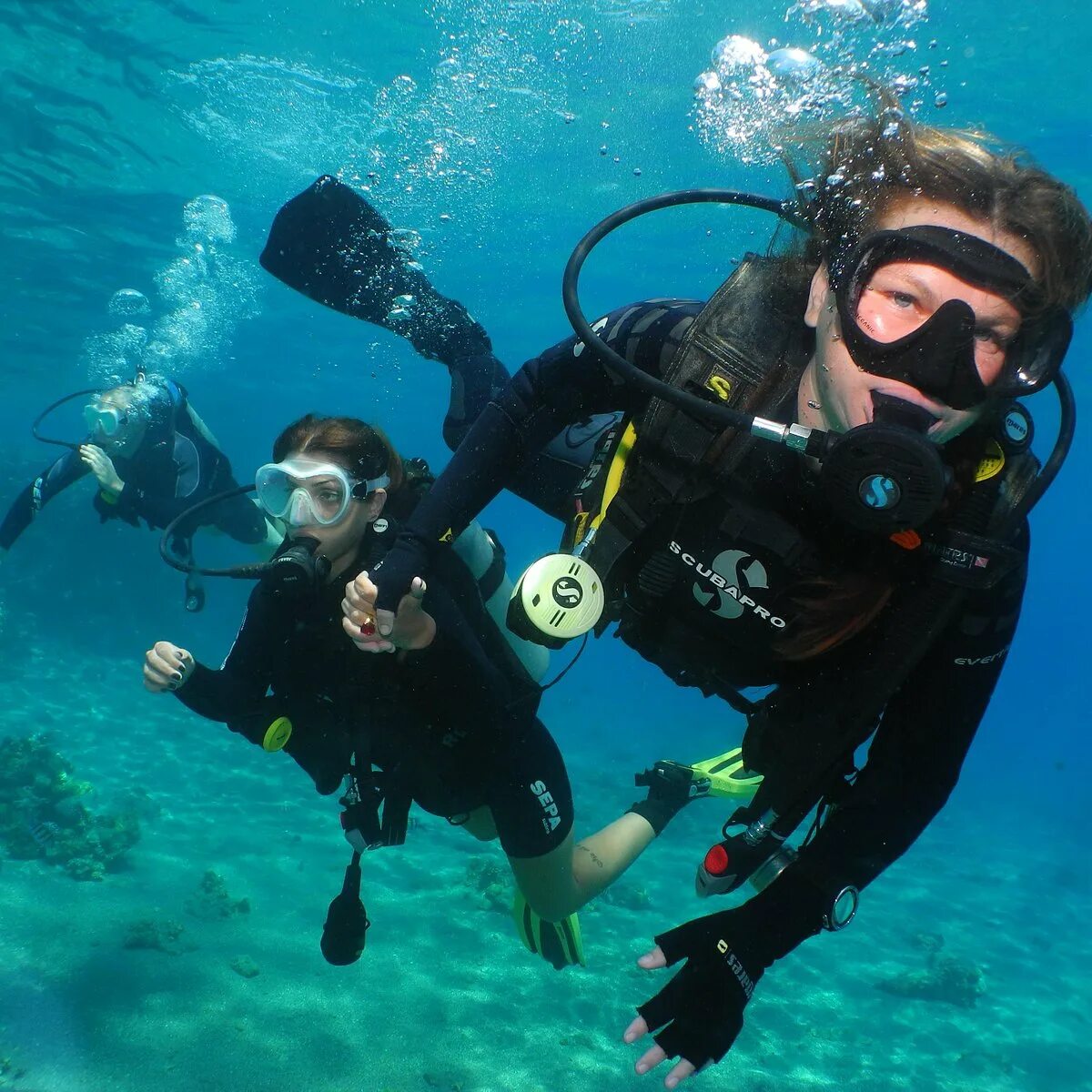 Sea dive. Красное море Скуба дайвинг. Эйлат Diving. Красное море дайвинг с аквалангами. Красное море Эйлат дайвинг.