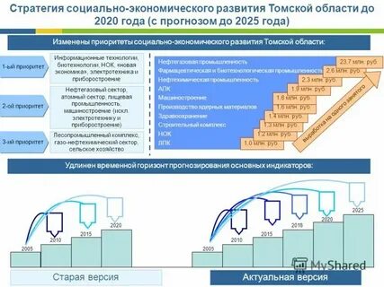 Социально экономическая стратегия это