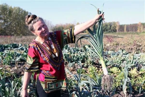 Сад Людмилы Шубиной. Сад Шубиной в Новосибирске.