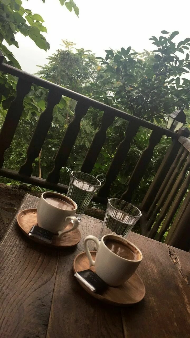 Pin by Bela on Coffee, Tea & Cups ♡ Café, Chá & Xícaras II Coffee flower, Coffee