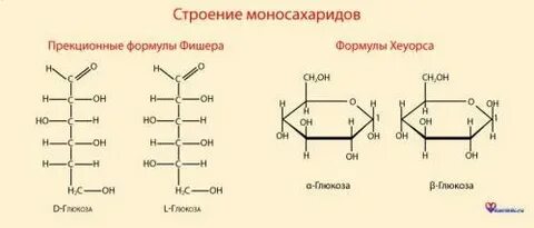 Фруктоза егэ