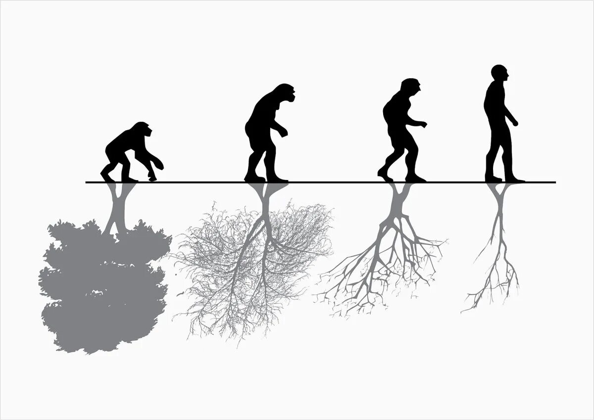 Человек подчиняет природу. Эволюция человека и природы. Эволюция картинки. Эволюционная экология. Экология эволюционного развития.