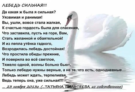 Стихи песни лебеди