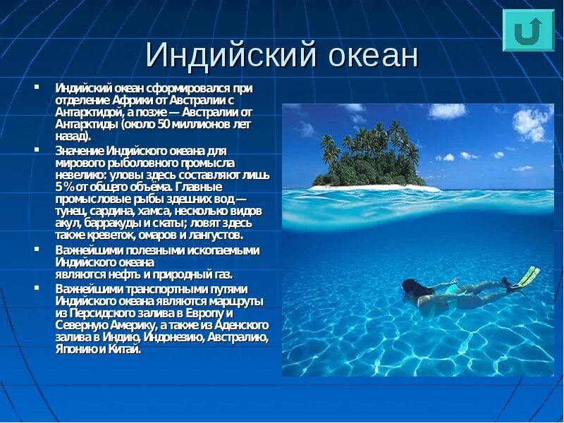 Люди в океане кратко. Индийский океан интересные факты. Доклад про океан. Океаны интересная информация. Интересные факты о океанах.