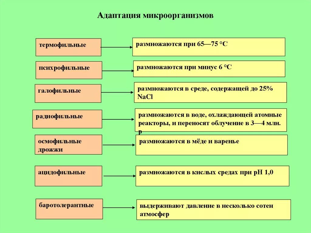 Адаптация микроорганизмов