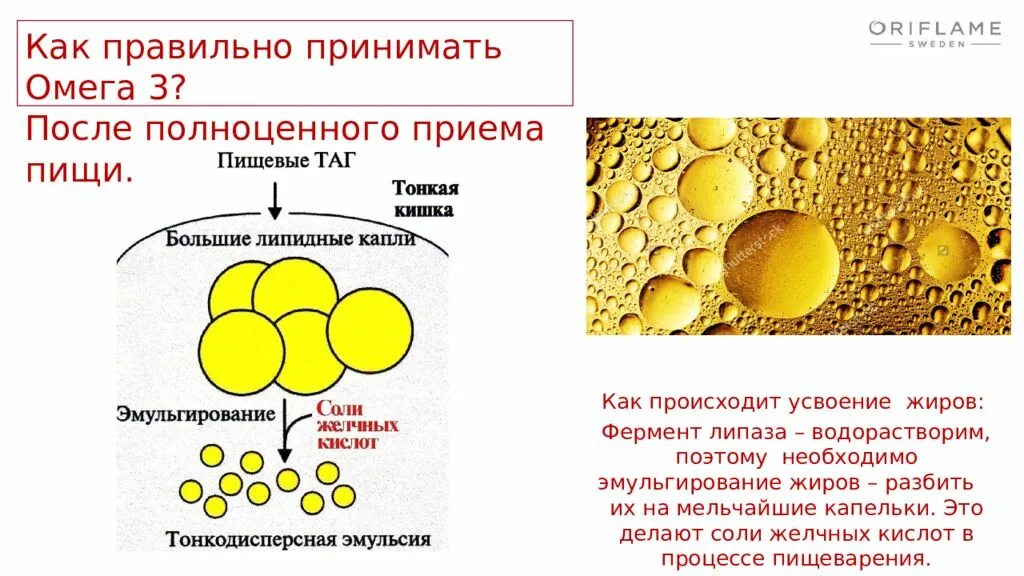 Ферменты эмульгирующий жиры. Схема эмульгирования жира. Эмульгирование жиров желчными кислотами. Эмульгирование жиров солями желчных кислот. Схема эмульгирования жиров под действием желчных кислот.