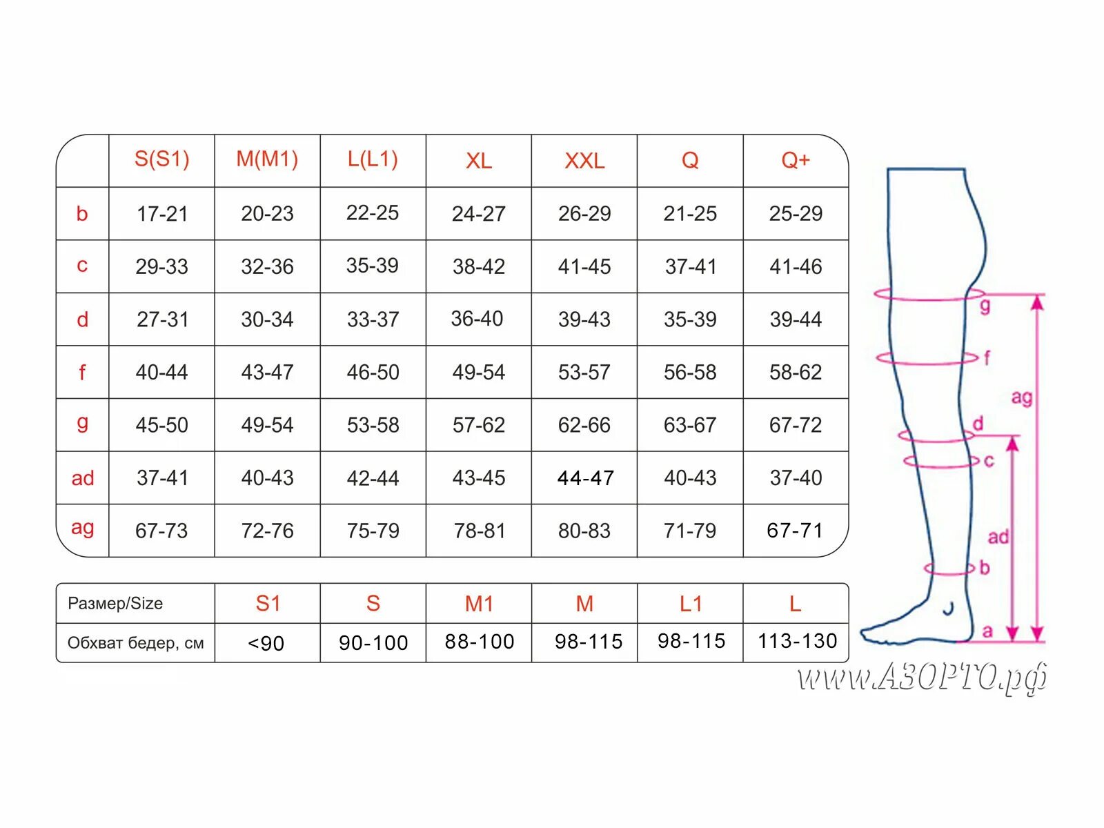Как подобрать компрессионные чулки для мужчин. Орто компрессионные чулки Размерная сетка. Чулки компрессионные 2 класс компрессии Размерная сетка. Компрессионные колготки Орто Размерная сетка. Компрессионные чулки Орто 2 класс компрессии таблица размеров.