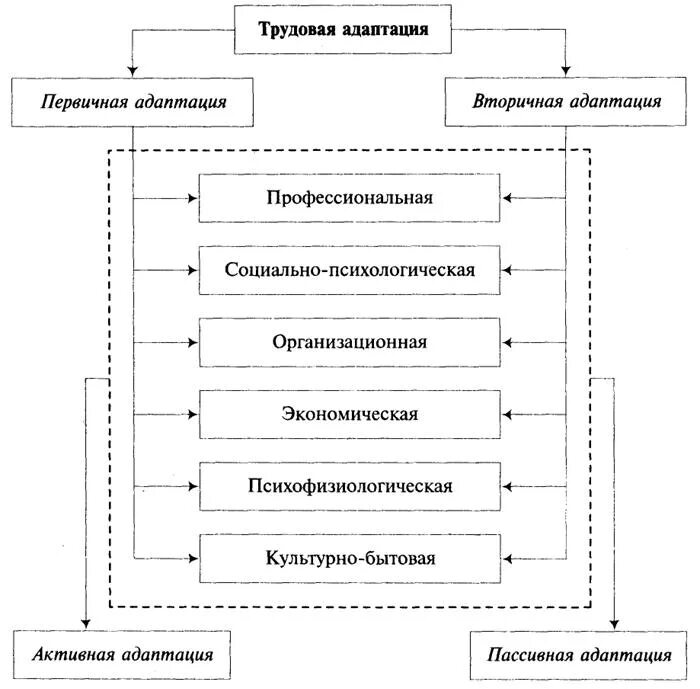 Схема процесс трудовой адаптации. Структурная схема показателей трудовой адаптации. Виды адаптации персонала схема. Структура трудовой адаптации персонала. Этапы профессиональной адаптации