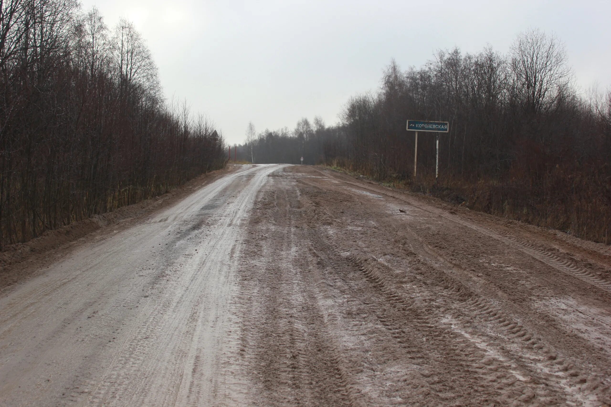 Деревня лесютино. Погода в лесютино нюксенского на неделю. Погода в лесютино нюксенского на неделю. Игмас форевер подслушано. Погода в лесютино нюксенского на неделю.