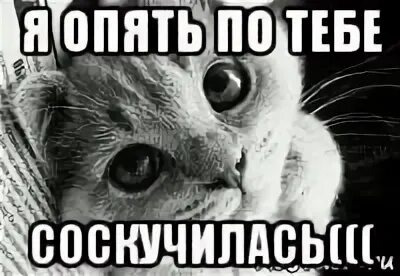 Ты уже не можешь без меня
