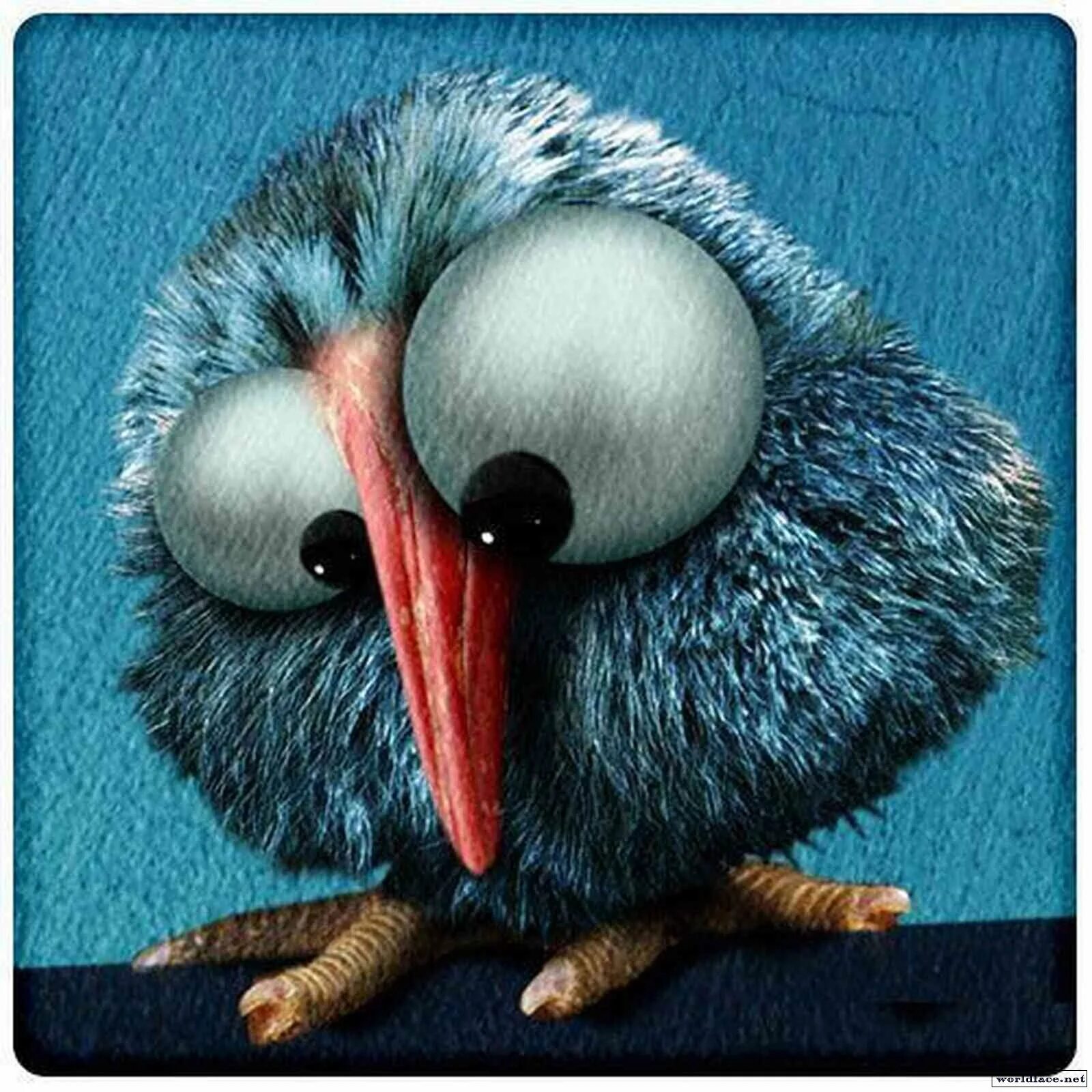 мозгоклюйка